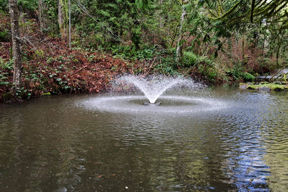 A photo of a fountain in a pond