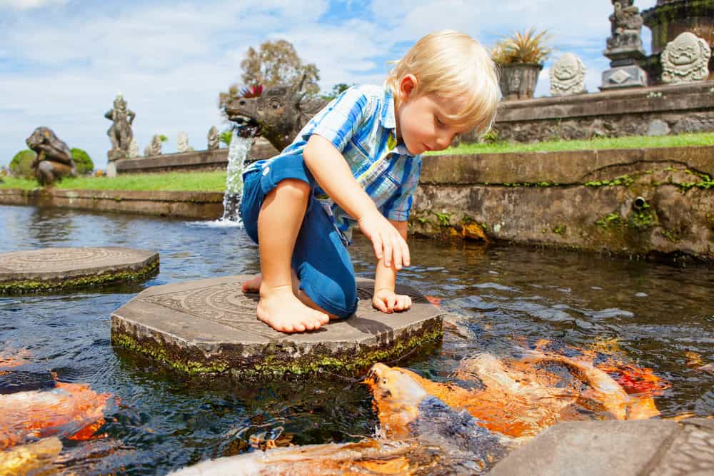 A Child Playing with Different Koi