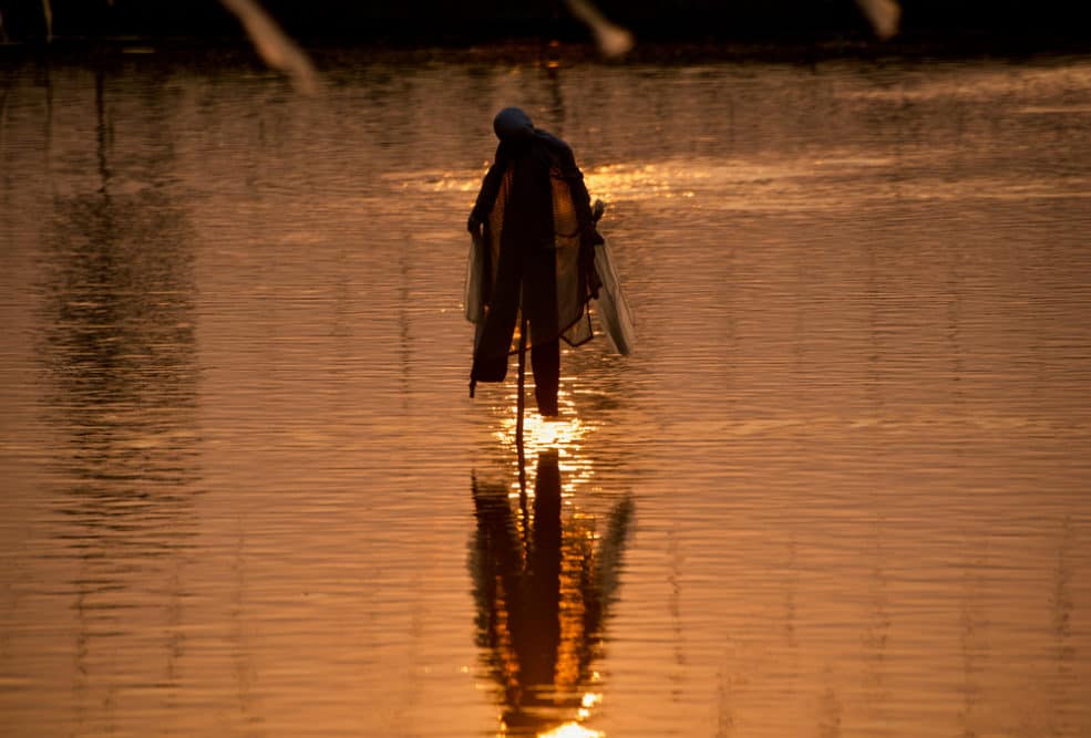 A Photo of a Scarecrow in a Pond