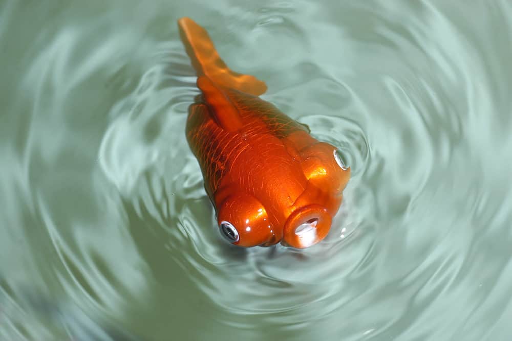 A Photo of an Orange Fake Fish