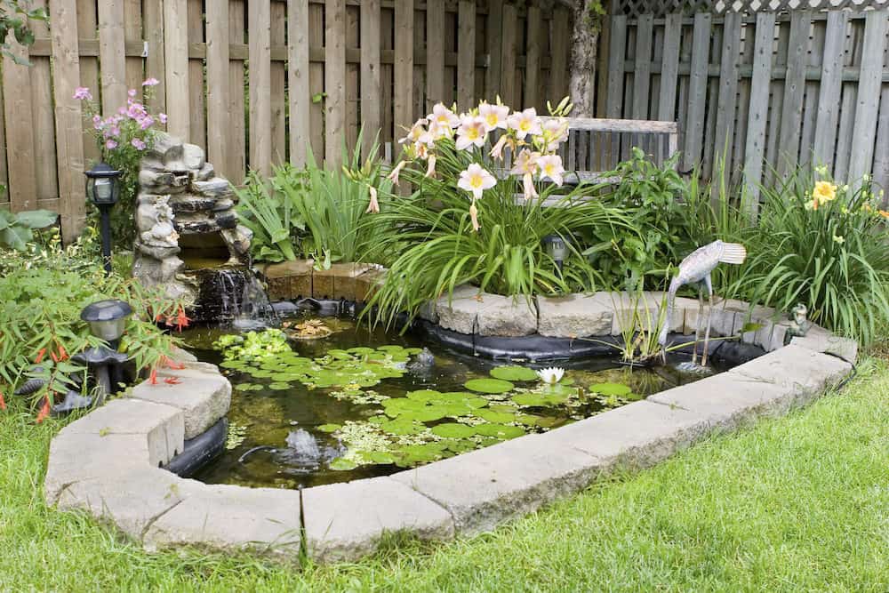 A Beautiful Designed Koi Pond with a Fence