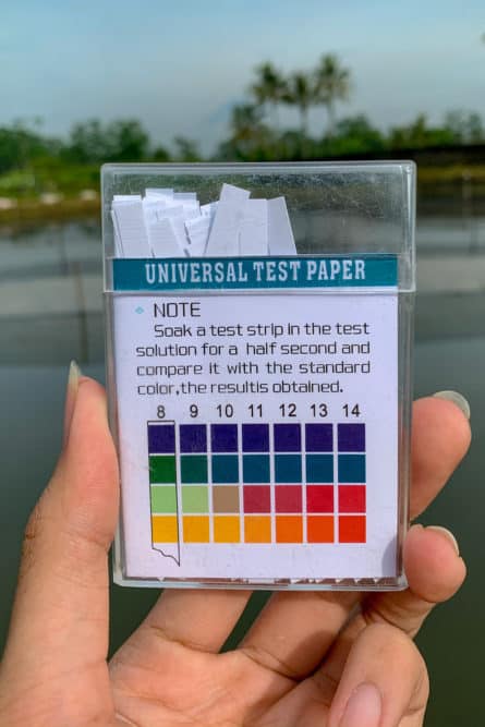 A Photo of Universal Test Paper