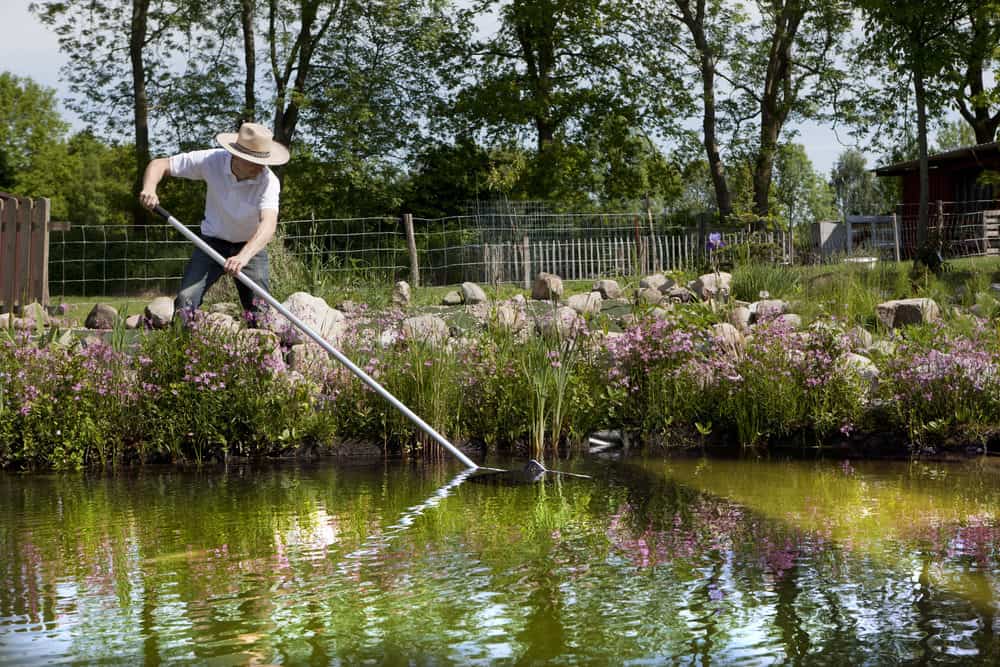 A man using a net to clean the pond