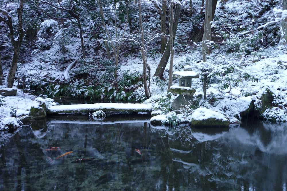 A Photo of a Snowed Koi Pond
