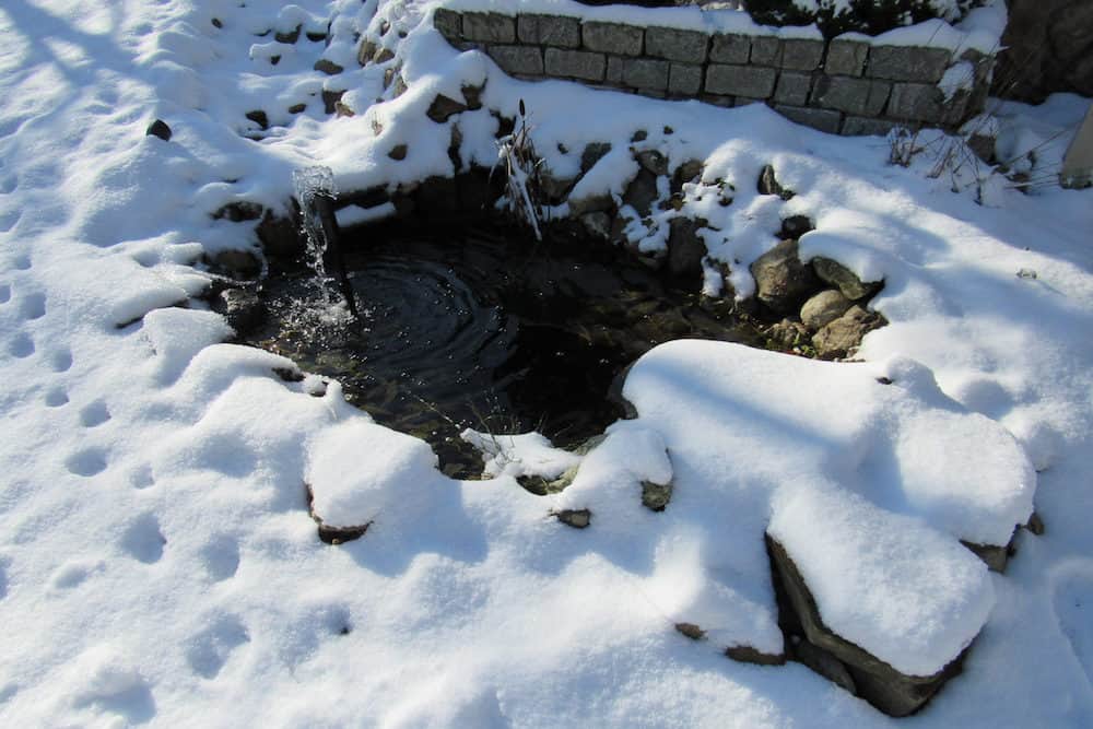 A Photo of a Pond Covered in Snow