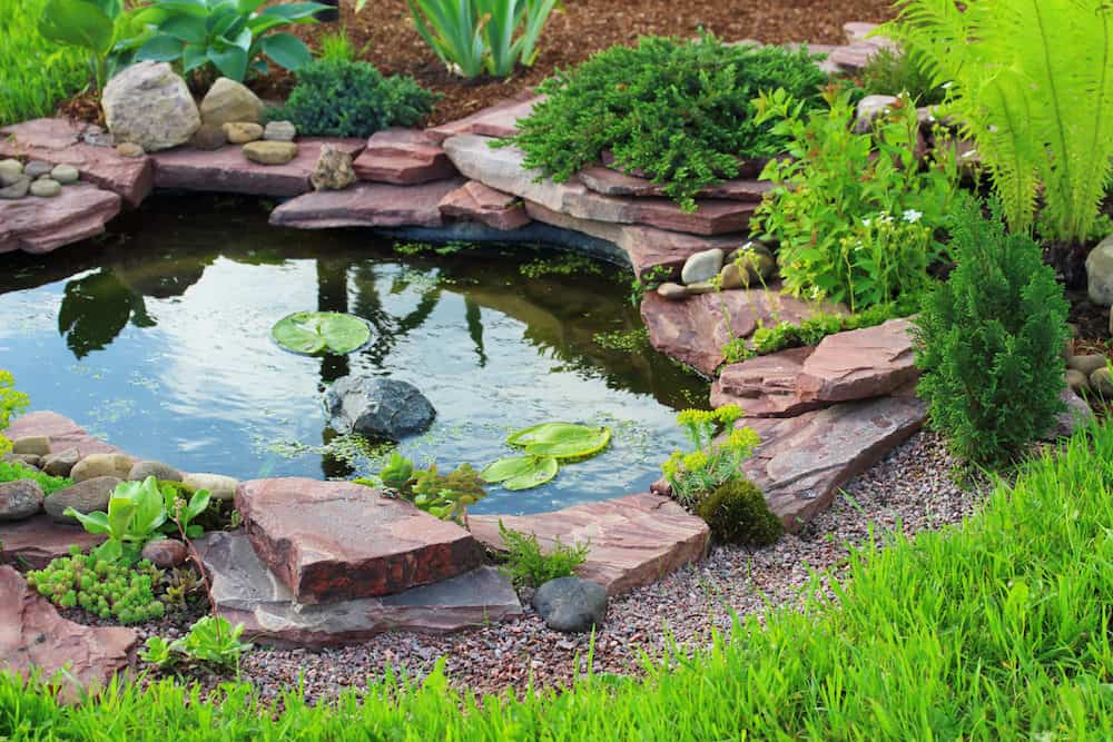 A Pond in Landscape Design