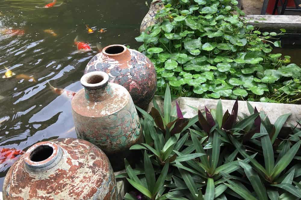 Three Clay Pots Beside a Koi Pond