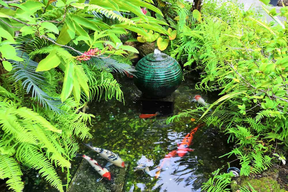 A Photo of a Surface Fountain in a Pond with Koi Fish Swimming in it