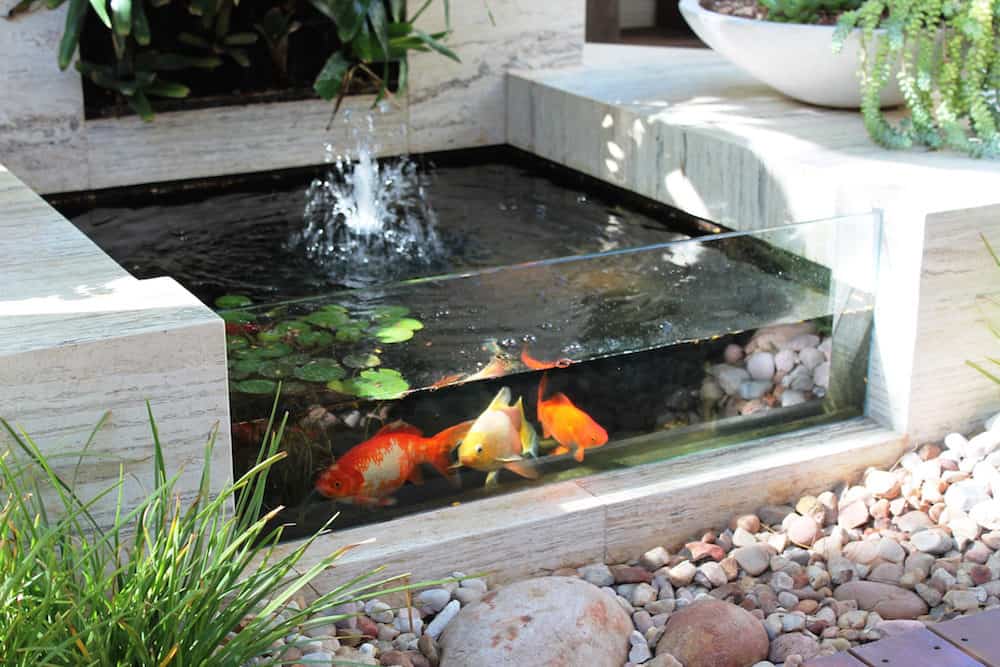 A Fountain in a Small Koi Pond