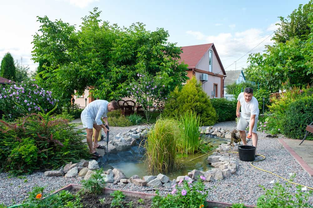 Two Men Cleaning and Changing the Pond Water