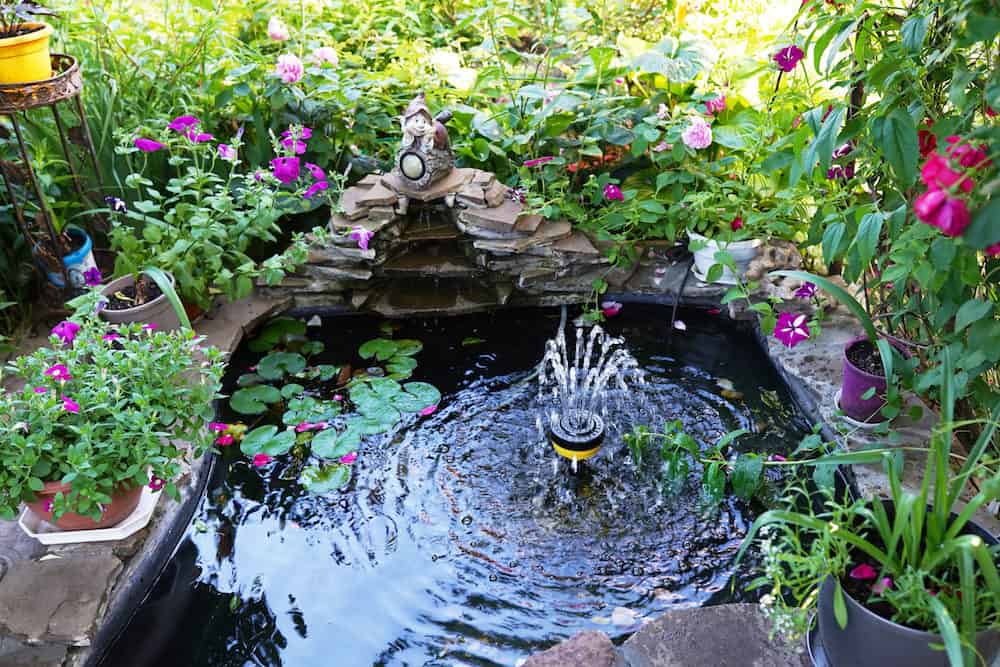 A Decorative Pond with Fountain in the Backyard