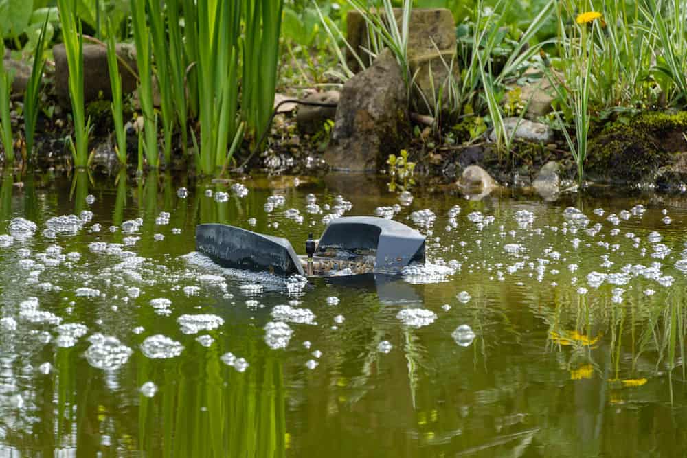 A Sample photo of a Skimmer floating in a Pond