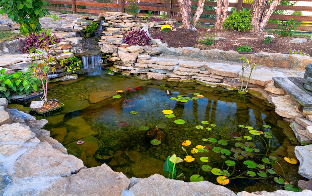 A Photo of a Beautiful Koi Pond in a Garden